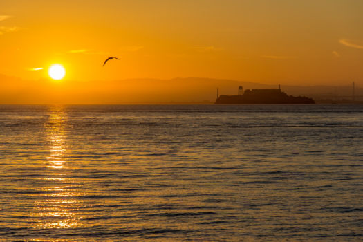 Alcatraz