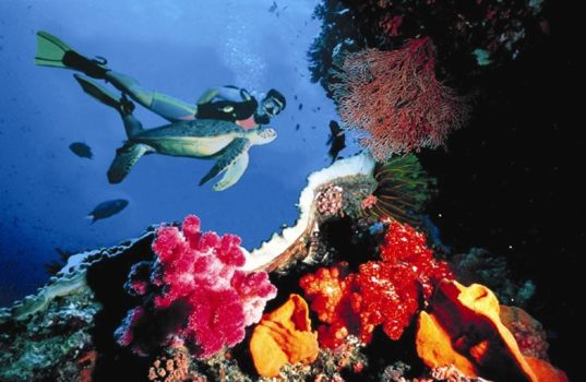 Great Barrier Reef