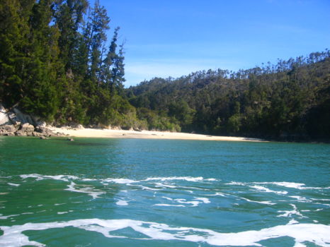 Abel Tasman National Park