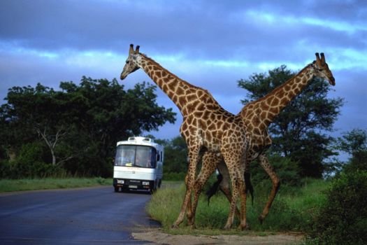 Chobe National Park