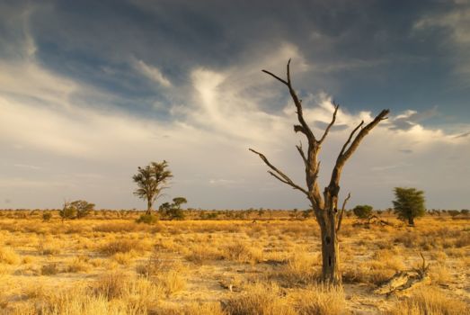 Botswana