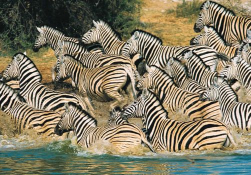 Serengeti National Park