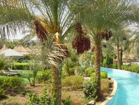 Dahab en Sharm el Sheikh