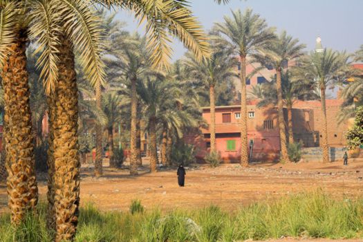 Wadi el Rayan
