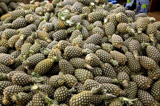 Bolgatanga en Tamale