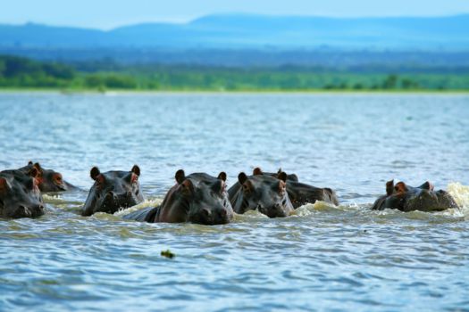 Hell’s Gate National Park