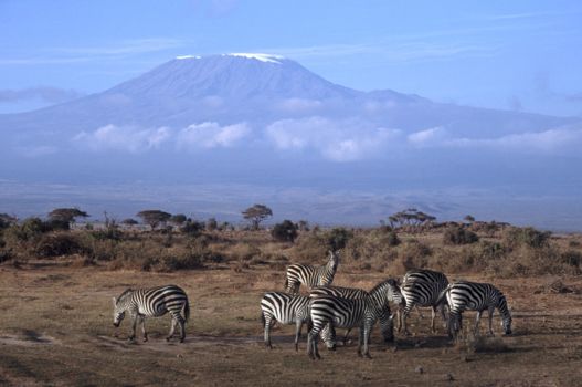 Amboseli National Park