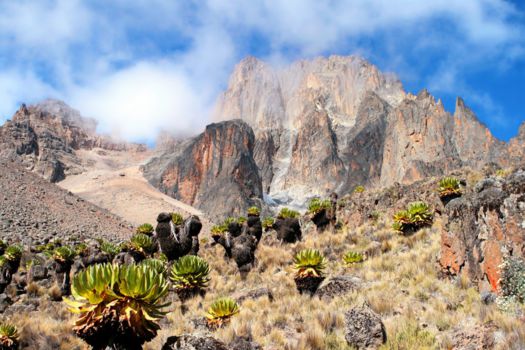 Mount Kenya