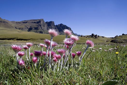 Semonkong en Malealea