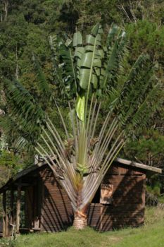 Fort Dauphin en het Berenty reservaat