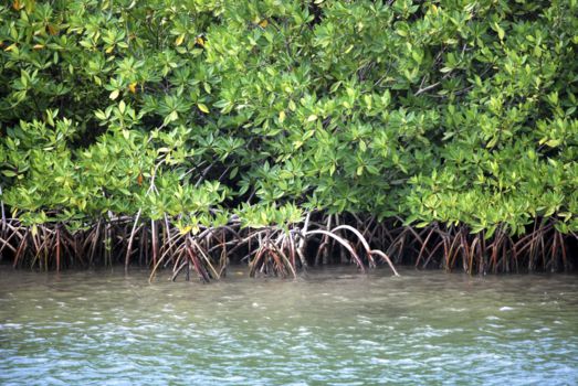 Canal des Pangalanes