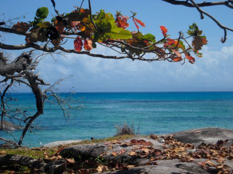 Canal des Pangalanes