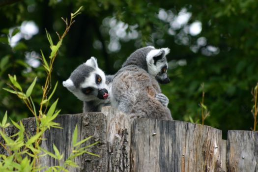 Masoala National Park