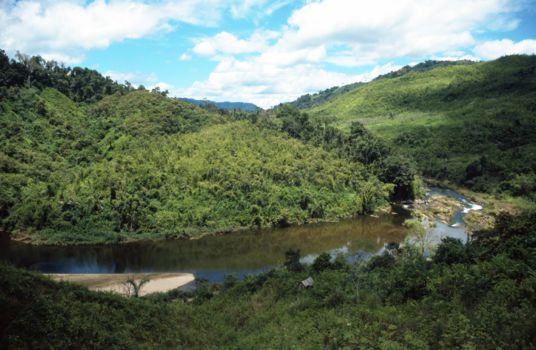 Masoala National Park