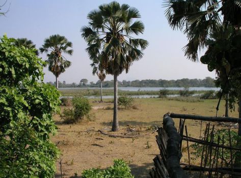 Liwonde National Park