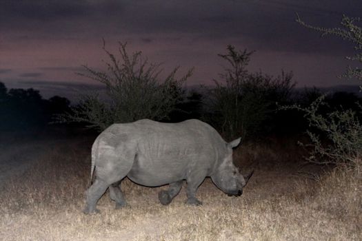 Liwonde National Park