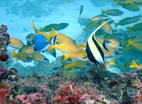 Quirimbas archipel