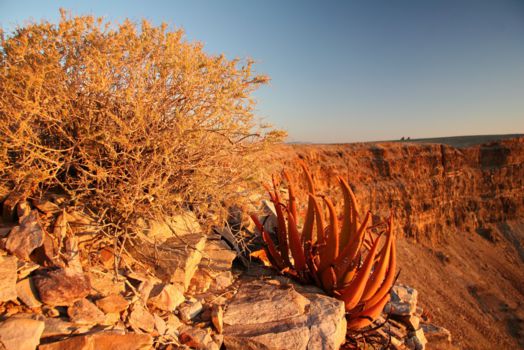 Fish River Canyon