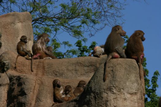 Namib-Naukluft National Park