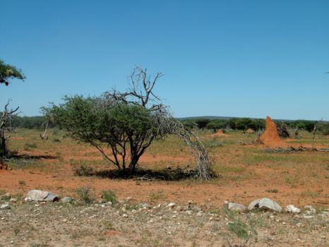 Namib-Naukluft National Park