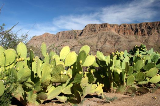 Namib-Naukluft National Park