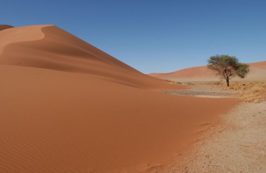 Sossusvlei