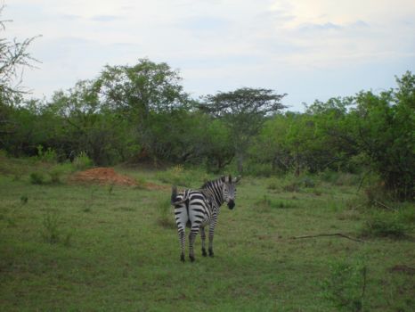 Lake Mburo National Park