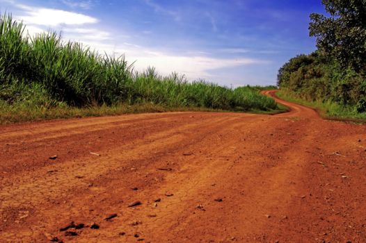 Queen Elizabeth National Park