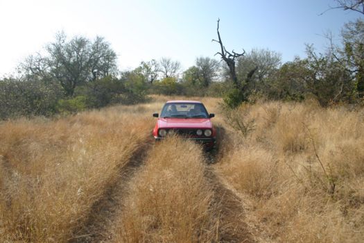 Hlane en Mkhaya wildparken