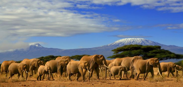 Tanzania