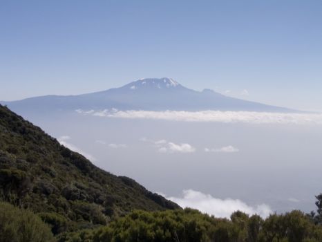 Kilimanjaro