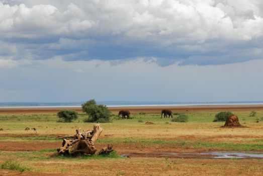 Tarangire National Park