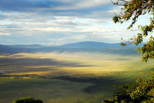 Ngorongoro krater