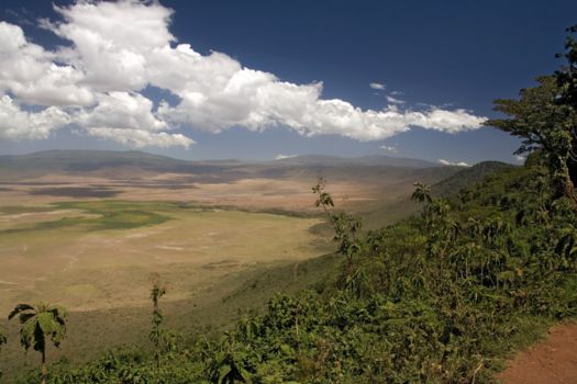 Ngorongoro krater