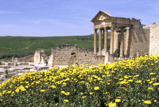 Carthago en Dougga