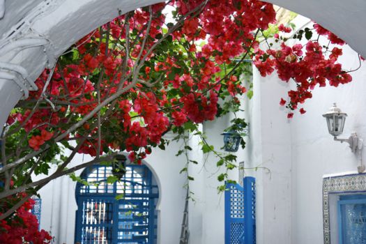 Sidi Bou Said