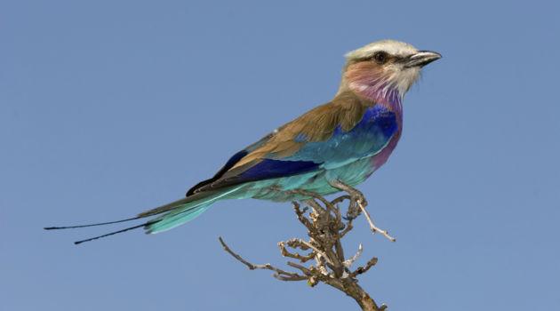 Hwange National Park