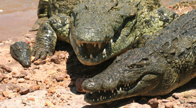 Lake Kariba (Zimbabwe)