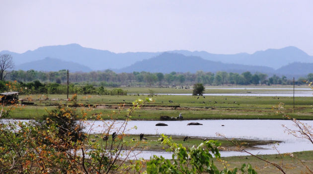 Lake Kariba (Zimbabwe)