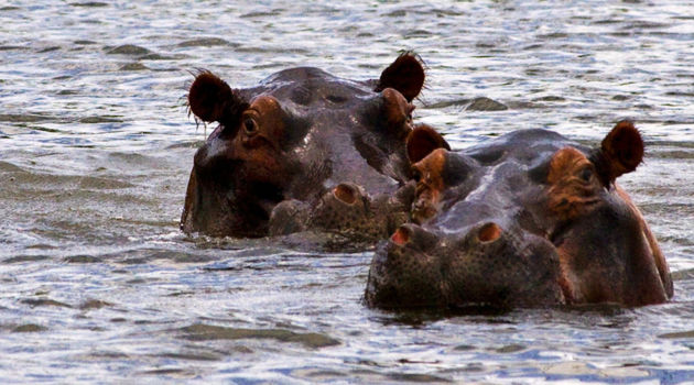 Lake Kariba (Zimbabwe)