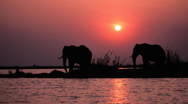 Lake Kariba (Zimbabwe)