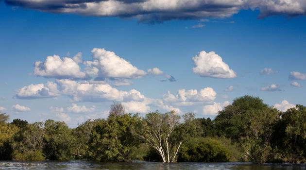 Mana Pools National Park