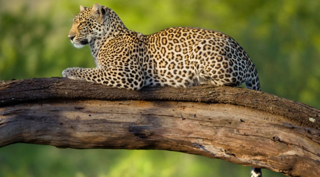 Matobo National Park