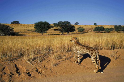 Krugerpark