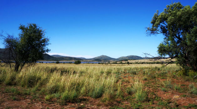 Pilanesberg