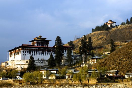 Paro