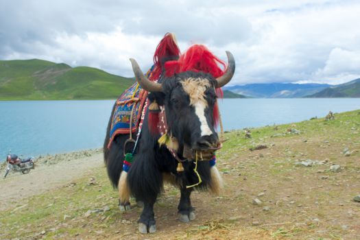 Bhutan