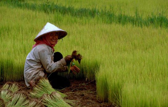 Cambodja