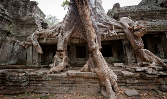 Cambodja