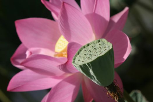 Hangzhou en West Lake